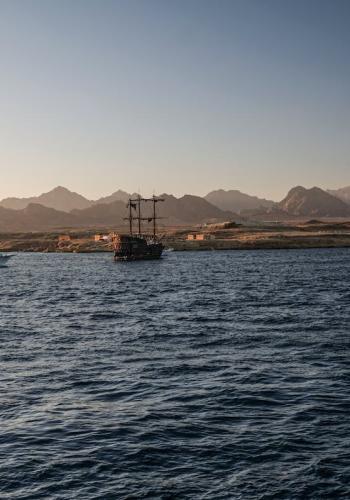 Red Sea & Boat Trips in Sharm El Sheikh