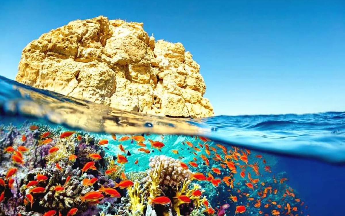 Full-Day Private Trip to Ras Mohamed National Park (By Car)