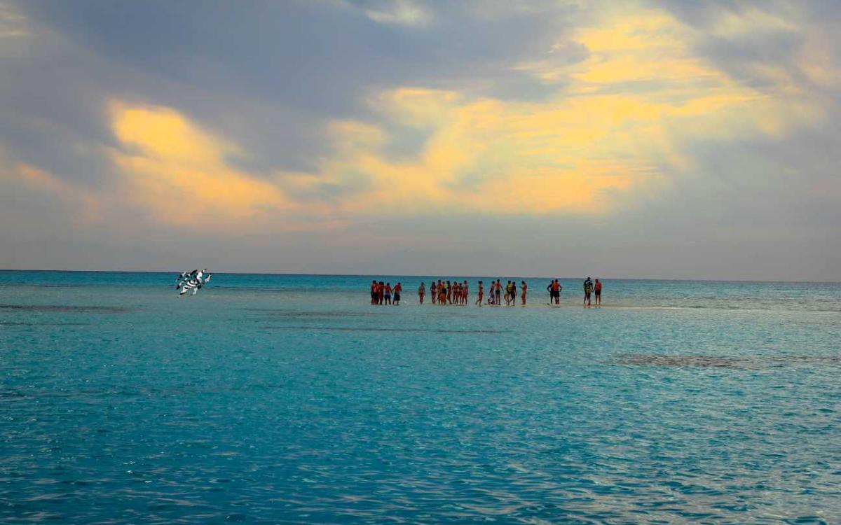 🌊 Private Boat Trip to Ras Mohammed & White Island