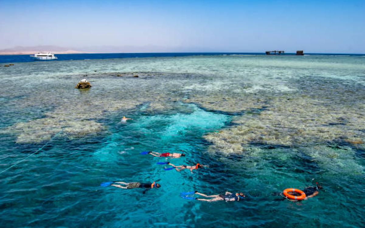 Sharm Signature Adventure – 3 Trips in One Experience