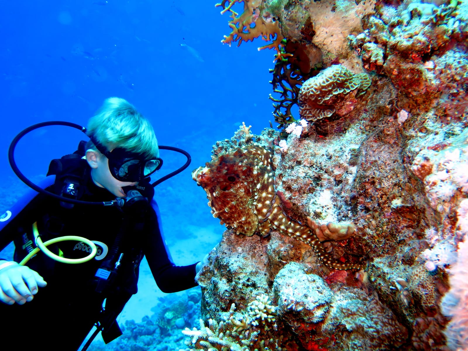 1Open Water Diver Course