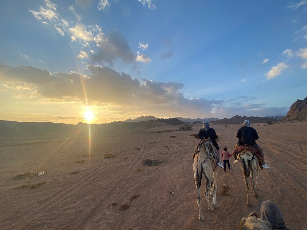 10🏜️ Colored Canyon, Blue Hole Snorkeling & Dahab City Tour