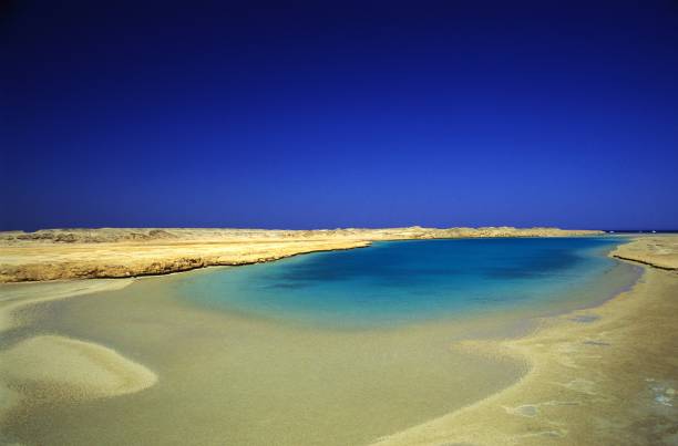 7Ras Mohamed by bus half day