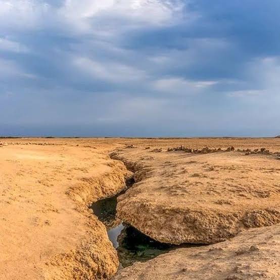 8Ras Mohamed by bus half day