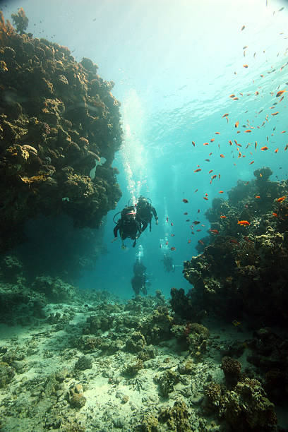 24Diving day in Dahab Canyon and Blue Hole