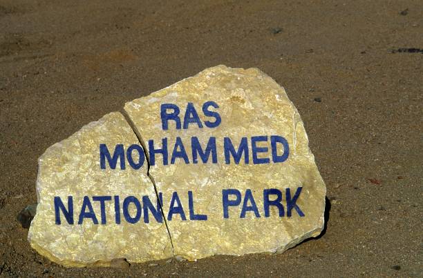 16Ras Mohamed by bus half day