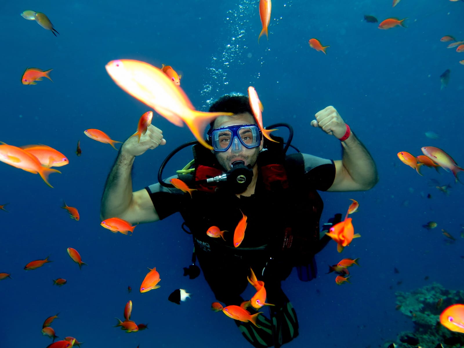 3Open Water Diver Course