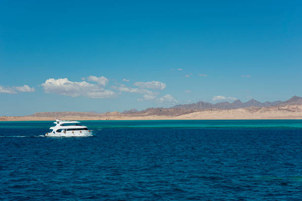 3🌊 Ras Mohammed & White Island Boat Trip-snorkeling-diving-adventure