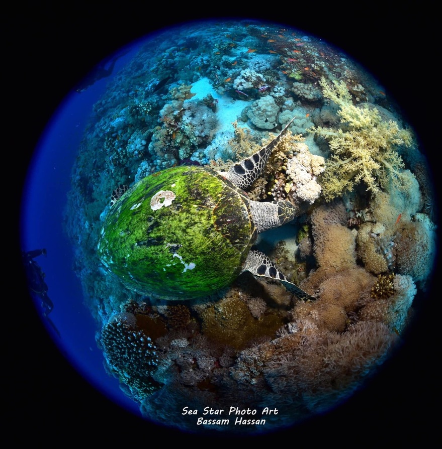 33 Day Advanced Diving Package  For Certified Divers