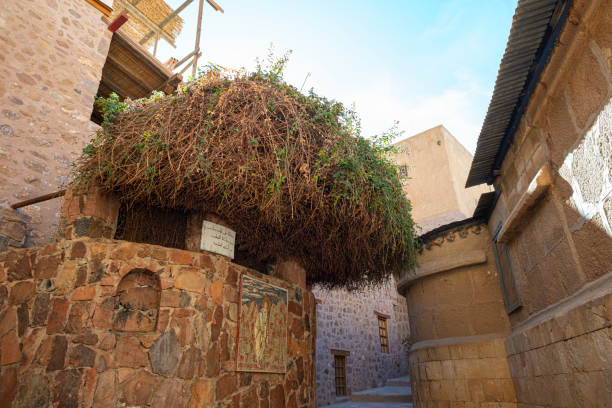 6Saint Catherine's Monastery